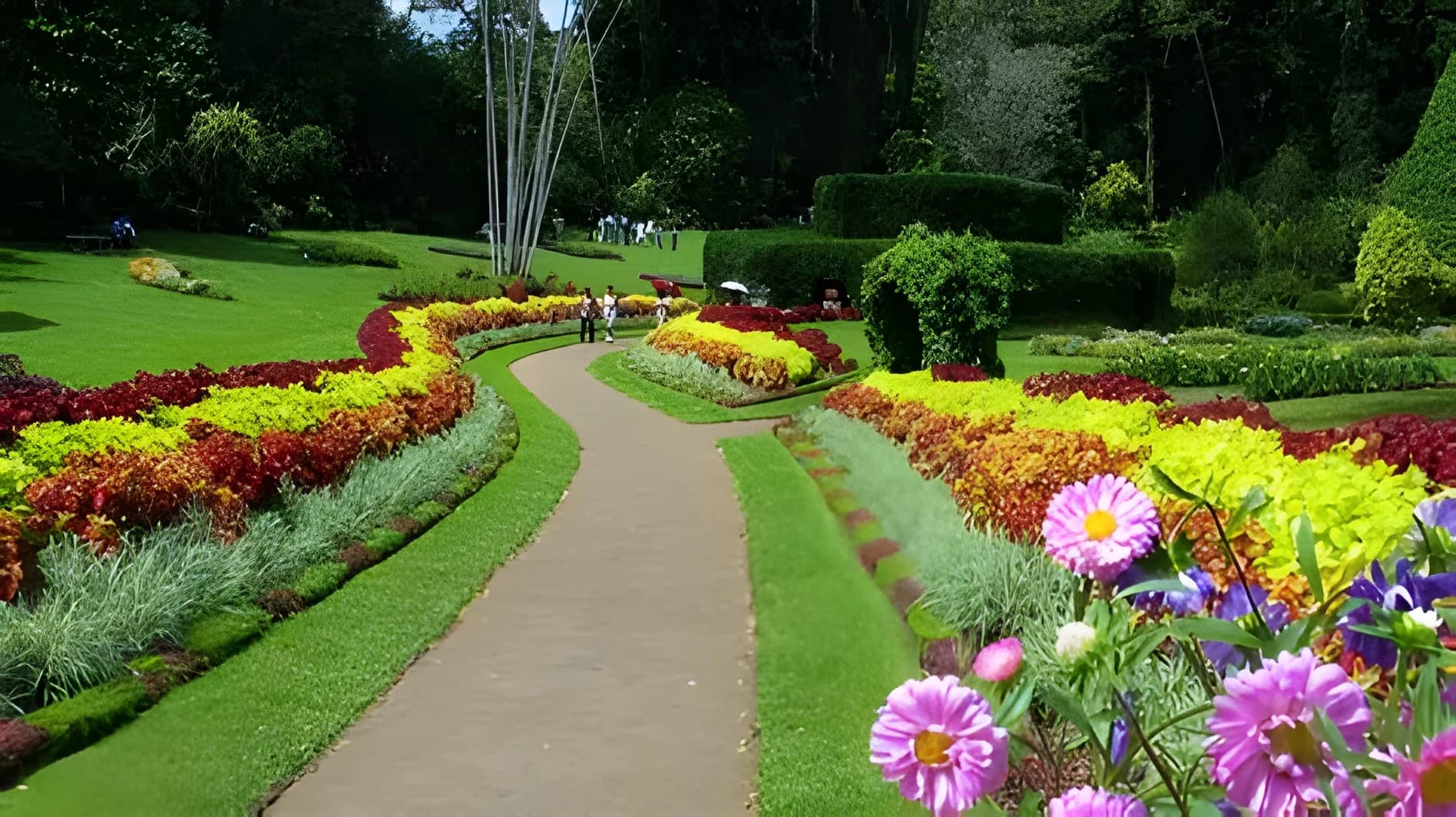 Royal Botanic Gardens, Peradeniya