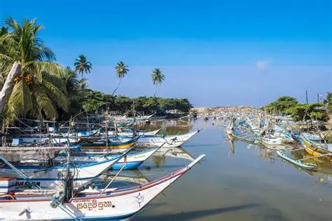 Negombo area farewell